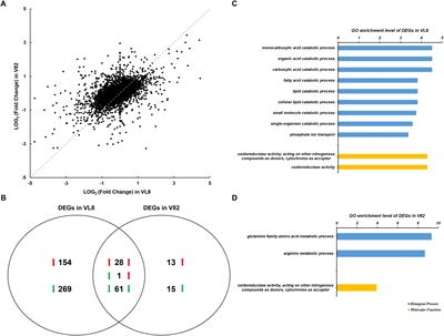 Cold Tolerance Regulated by the Pyruvate Metabolism in Vibrio parahaemolyticus